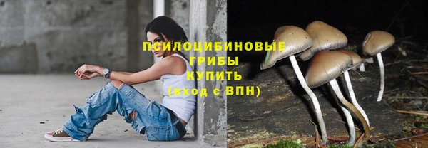СК Бронницы