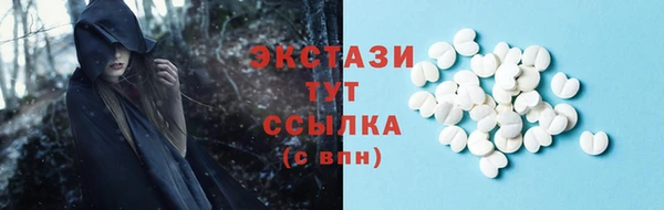 СК Бронницы