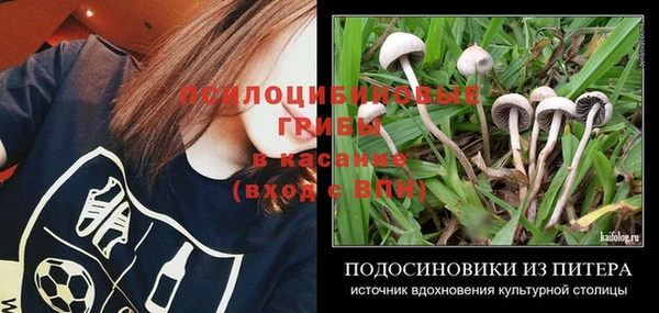 бошки Бугульма