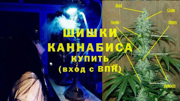 СК Бронницы