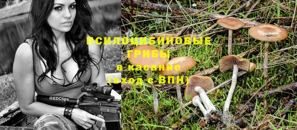 дурь Бородино