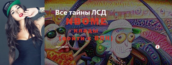 дурь Бородино
