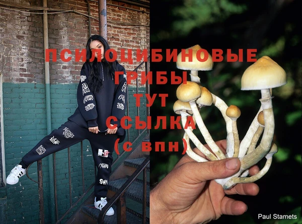бошки Бугульма
