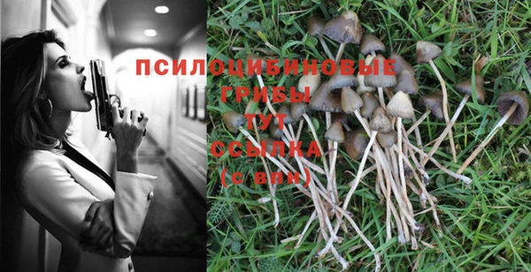 бошки Бугульма