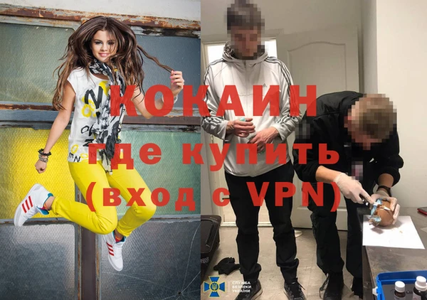 дурь Бородино